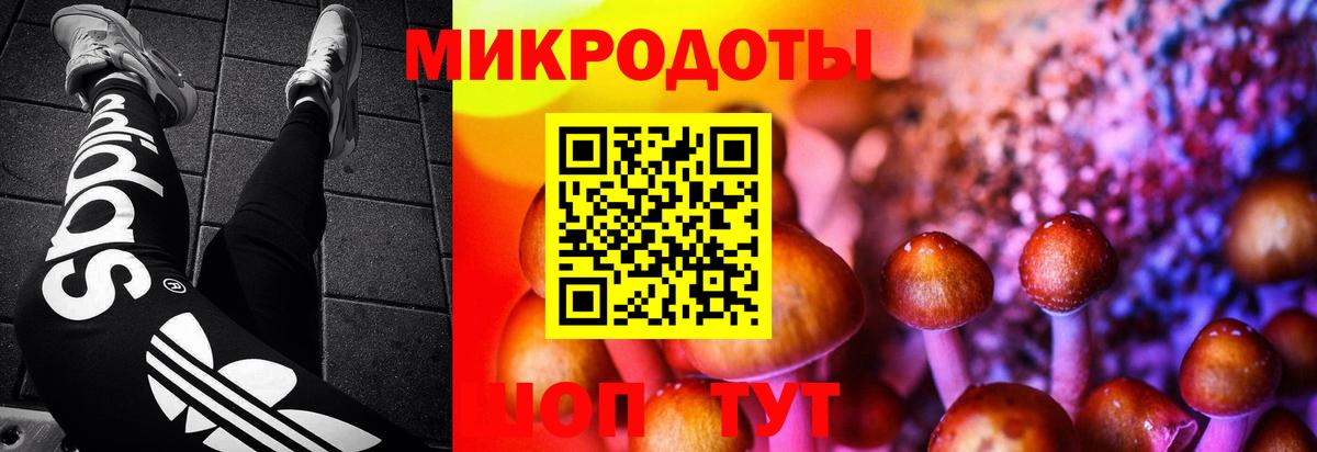 Псилоцибиновые грибы MAGIC MUSHROOMS  Вход с VPN  Новокубанск 